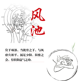 手绘人体头部经络设计