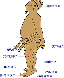 卡通人体穴位设计素材