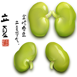 立夏蚕豆插画元素