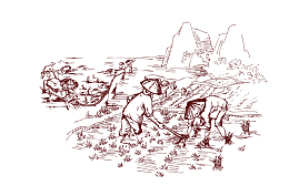 手绘素描农民插秧背景