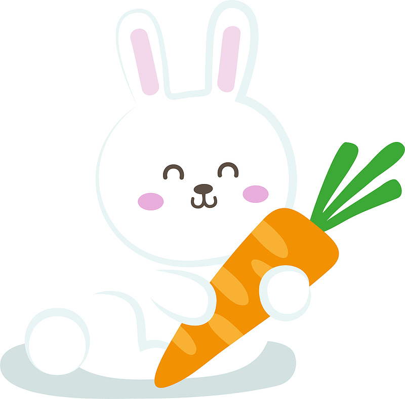 抱着胡萝卜的小白兔