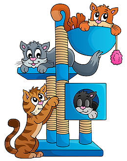 杆子上面玩耍的小猫