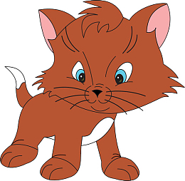 愤怒的黄色小猫咪