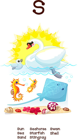 卡通小动物和字母S