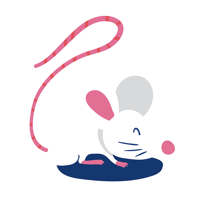 粉色长尾巴设计小老鼠