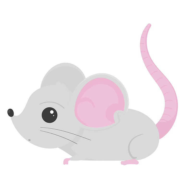 灰色粉色设计卡通小老鼠