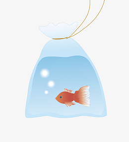 蓝色袋子里的小金鱼