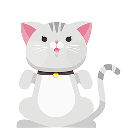 灰色可爱动物猫咪