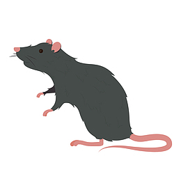 灰色设计呆萌老鼠