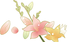 百合花边框百合花卡通