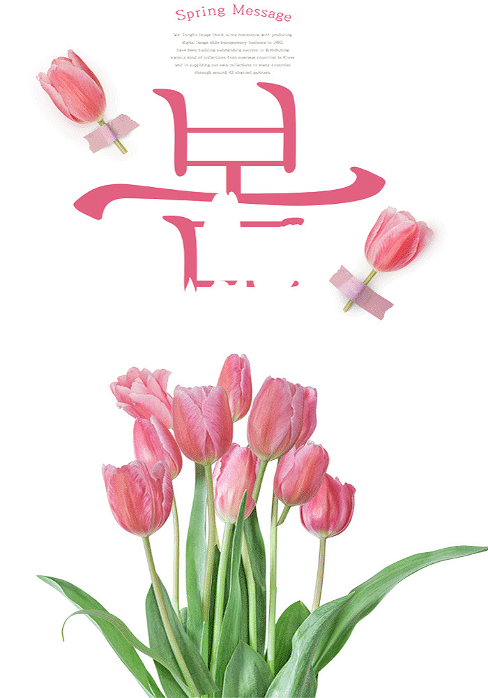 韩国的粉色春天和花朵