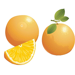 卡通两个香橙和橙子瓣