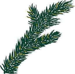 手绘绿色装饰松树叶子