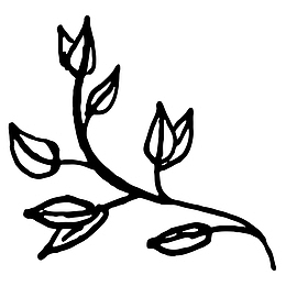 卡通简约黑白插画小清新叶子