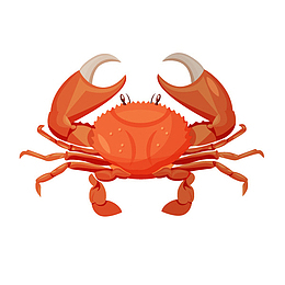 卡通装饰海洋生物海报设计螃蟹