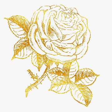 潮流烫金玫瑰花免抠图