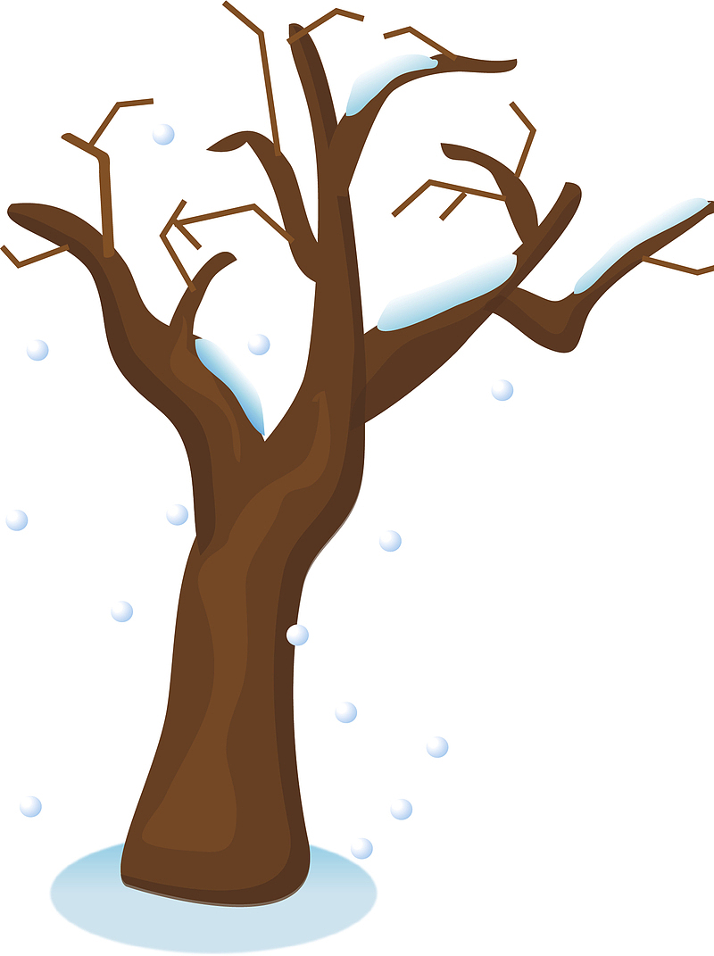 冬天的树新年冬天插画