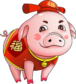 呆萌可爱的小白猪