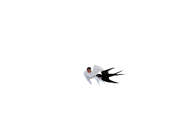 工笔画免扣素材16