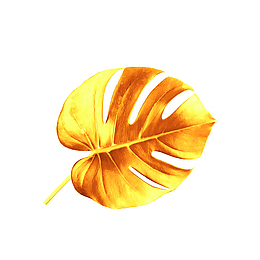 金属质感叶子