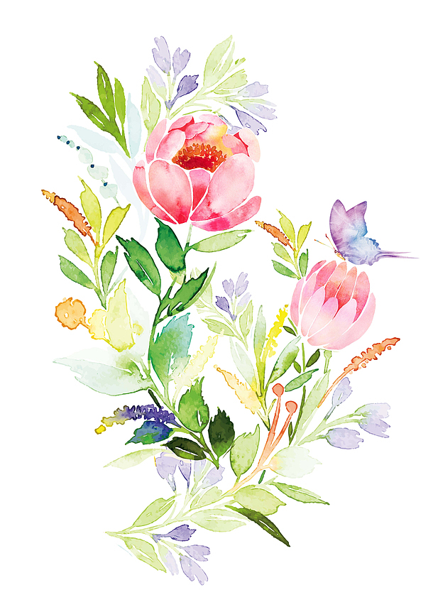 1手绘水彩花卉