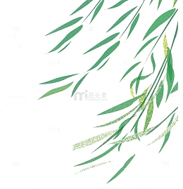 春天春意绿叶