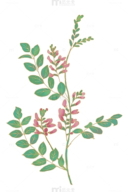 手绘叶子素材花  决明子