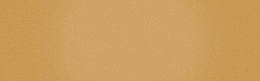 banner背景金沙