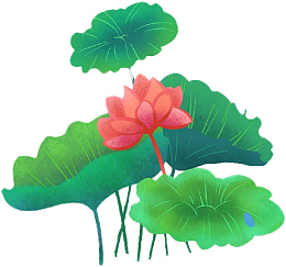 春天荷花池子