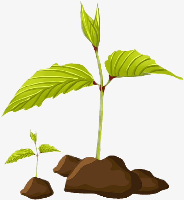 关键词 : 春天,嫩芽,树苗,植物[声明] 觅元素所有素材为用户免费分享