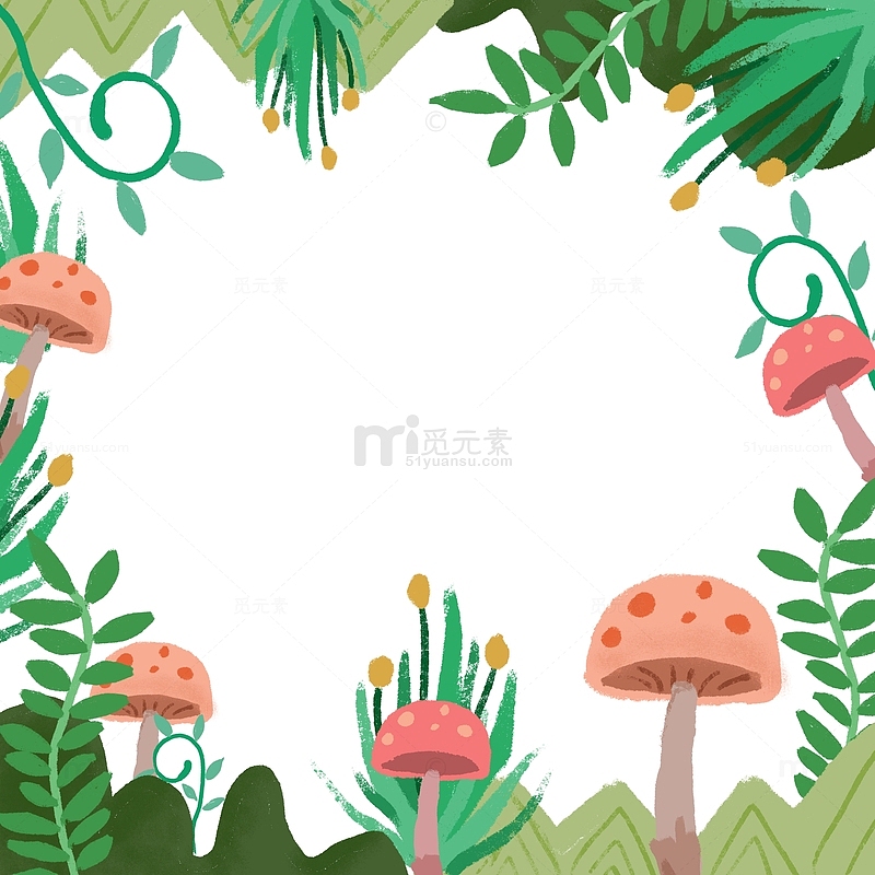 夏日丛林蘑菇春日 植物