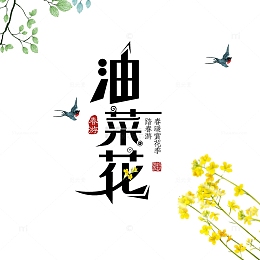 油菜花春游元素