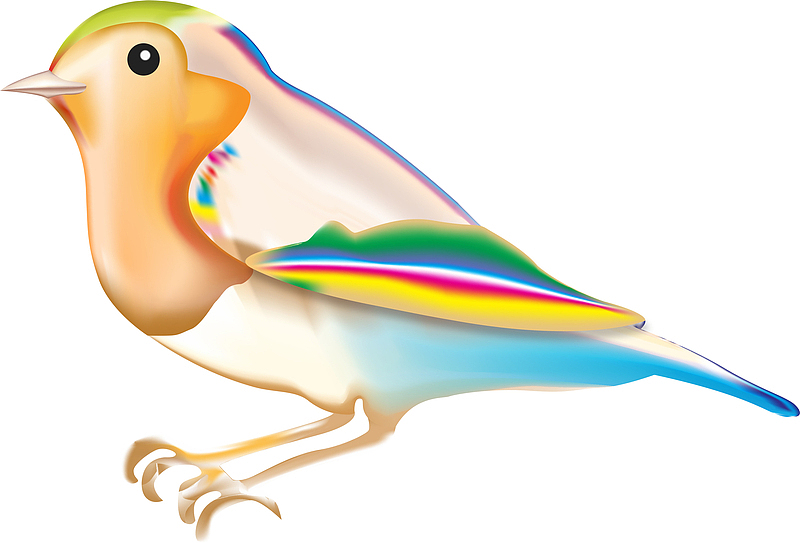 彩色小鸟电脑