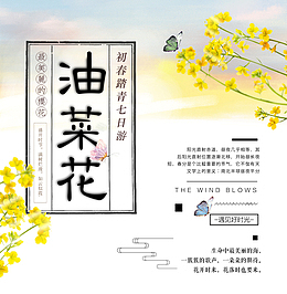 油菜花初春踏青七日游