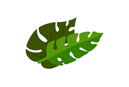 两边片阔叶植物