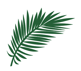 一大片热带植物叶子