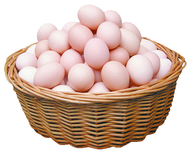 农家营养土鸡蛋