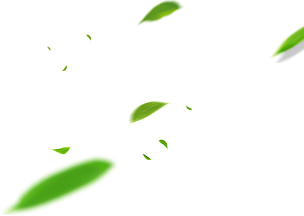 漂浮绿色树叶大小