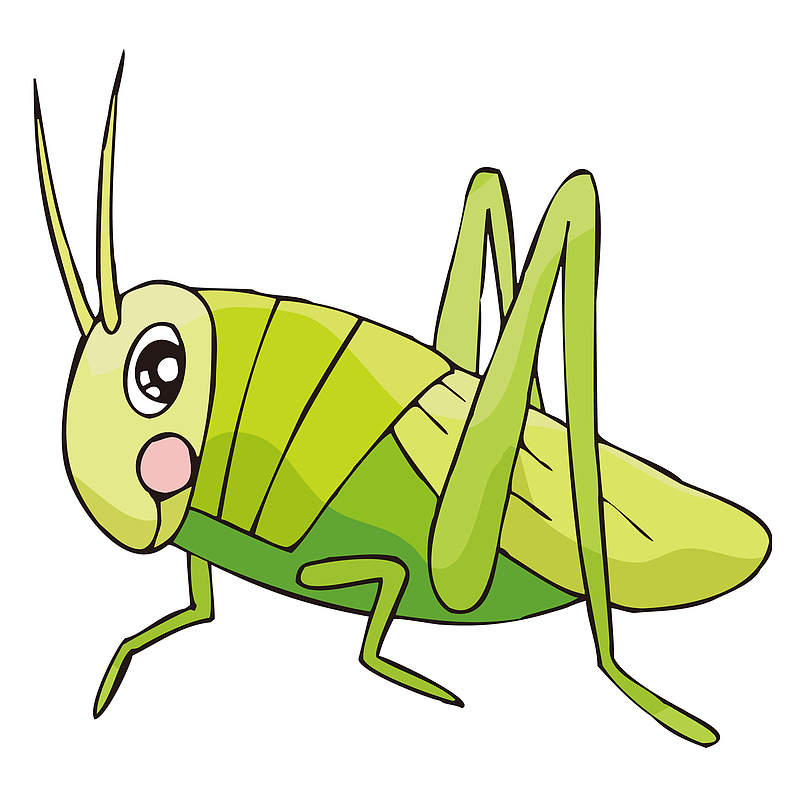 一只绿色小蟋蟀