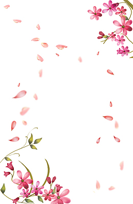 粉色花瓣边框漂浮
