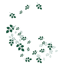 清新小花卡通插画20