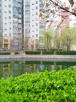 风景  春天 景物