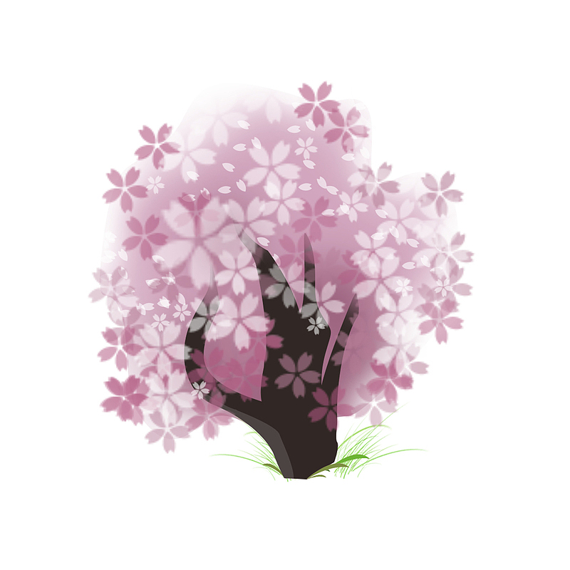 春季淡紫色樱花树