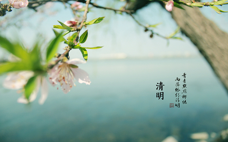春天 四月 清明节 青团 海报 背景 1