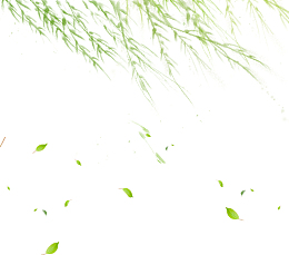 垂柳清明节免抠图
