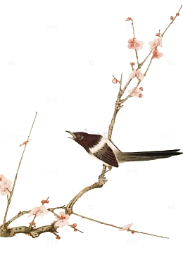 中国风花鸟装饰