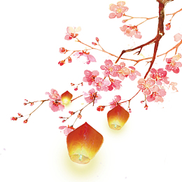 中国风桃花孔明灯