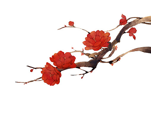 中国风手绘红花