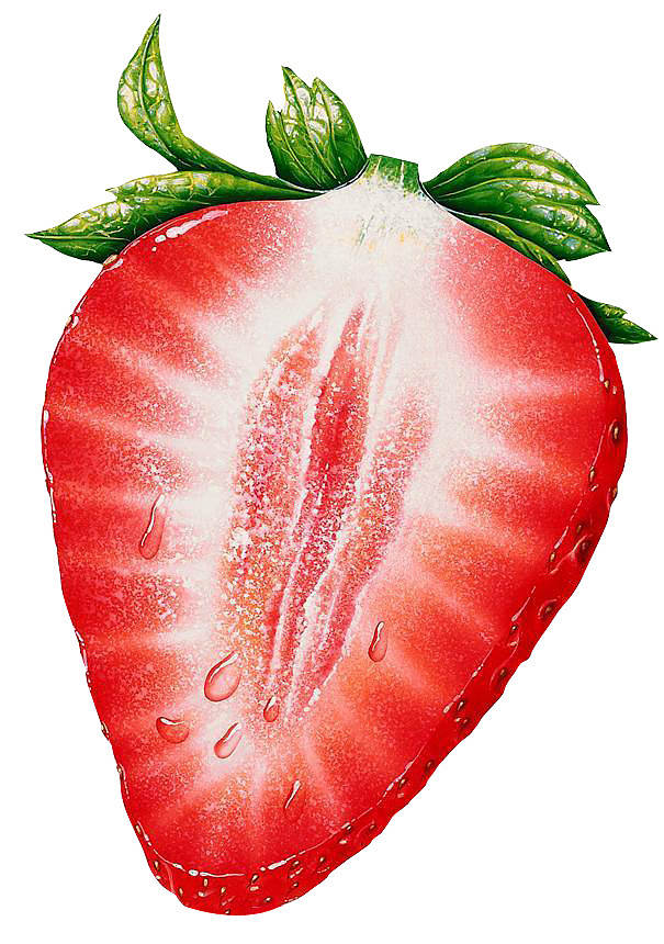 高清手绘新鲜草莓