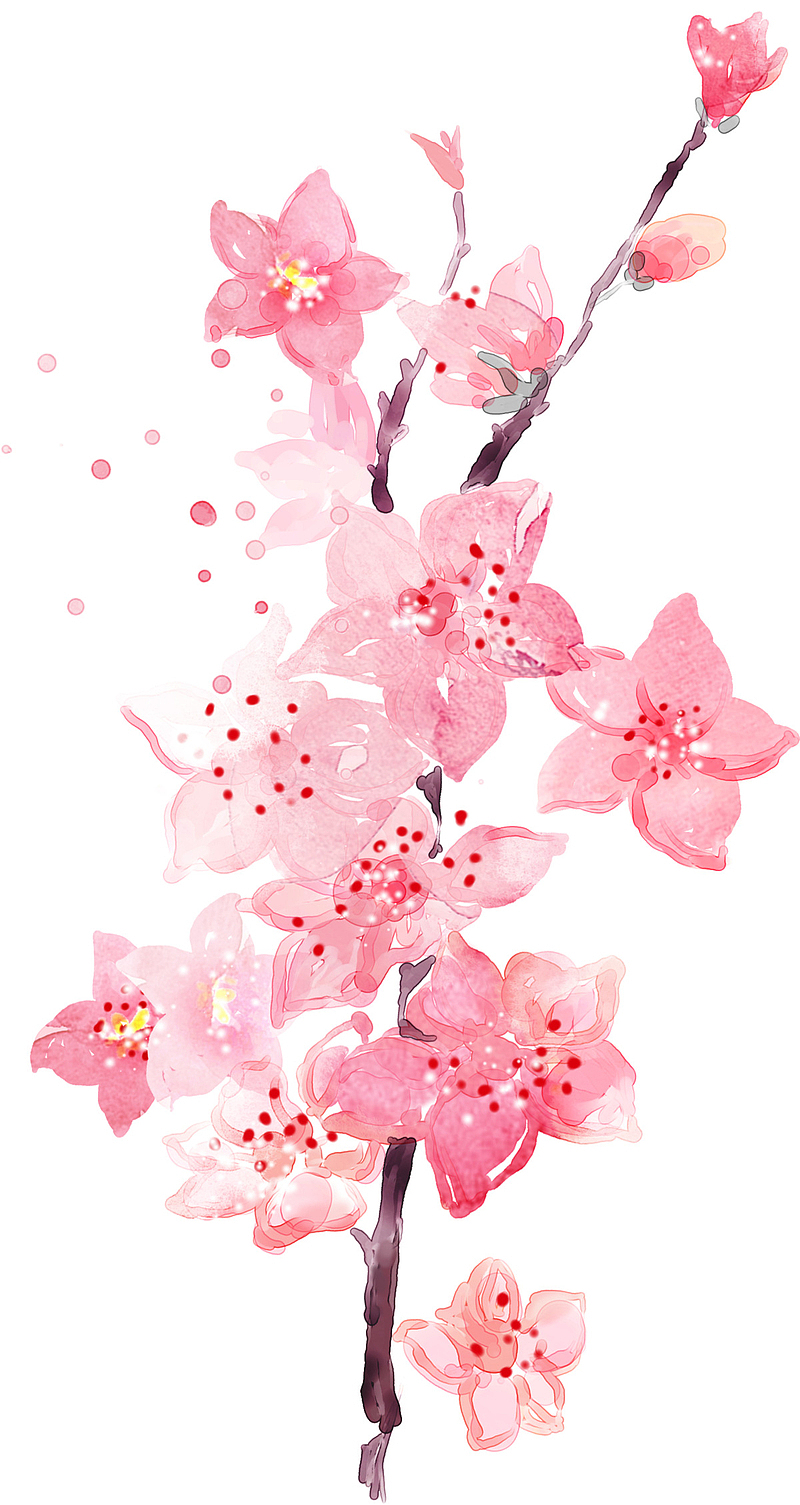 高清水彩手绘粉色花枝